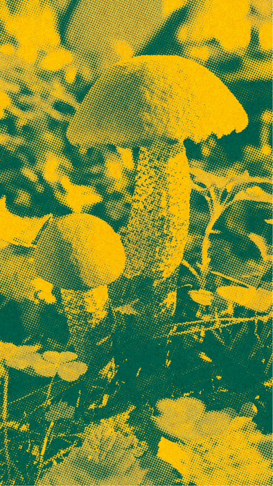 Pilz als Pop-Art in gelb und grün