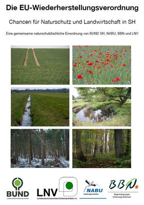 Titelbild gemeinsamer Standpunkt der Naturschutzverbände in SH zur EU-Wiederherstellungsverordnung