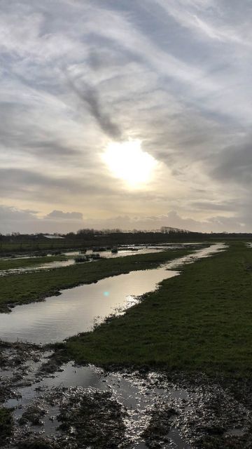 Feuchtfläche und Wiese auf Föhr