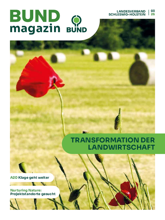 Titelbild des BUND-Magazins Nummer 3 aus 2026