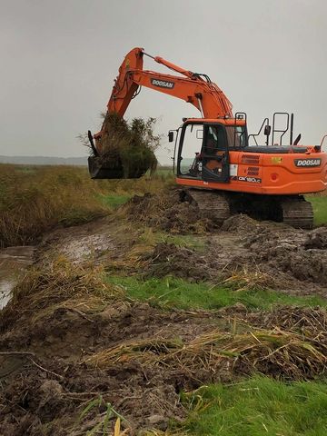 Bagger auf Wiese